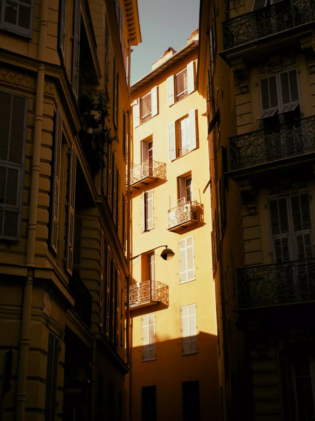 Les toits typiques de Lyon, dont l