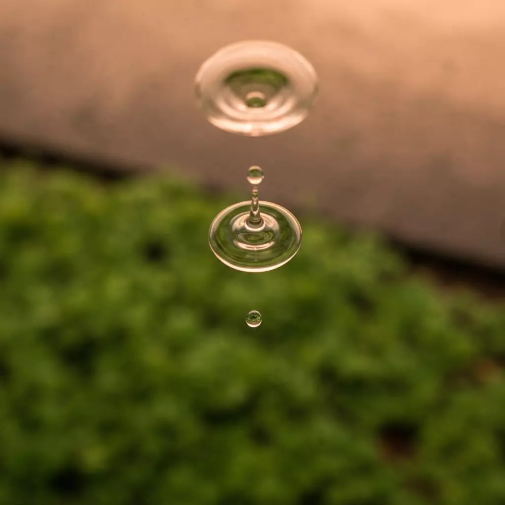 Close up view of water dripping from a ceiling into a bucket inside a living room, highlighting the urgency of a roof leak