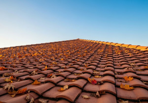 Entretien Toiture Durée de Vie: 3 Clés Pour Votre Toit